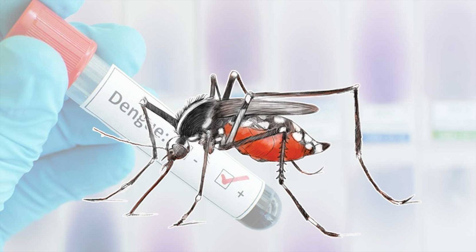 चितवनमा एक हजार बढीमा डेंगु संक्रमण