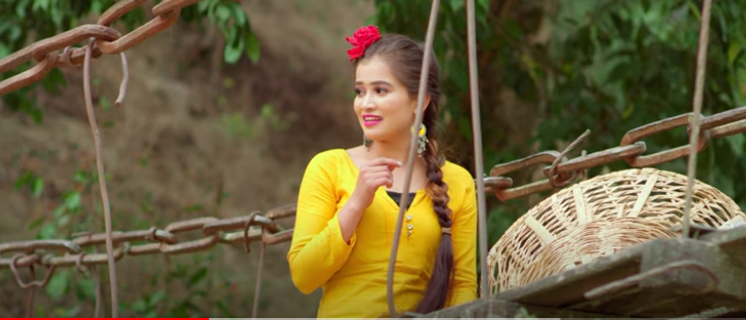 मीना कार्कीको ‘शिरमा फूल’ सार्वजनिक