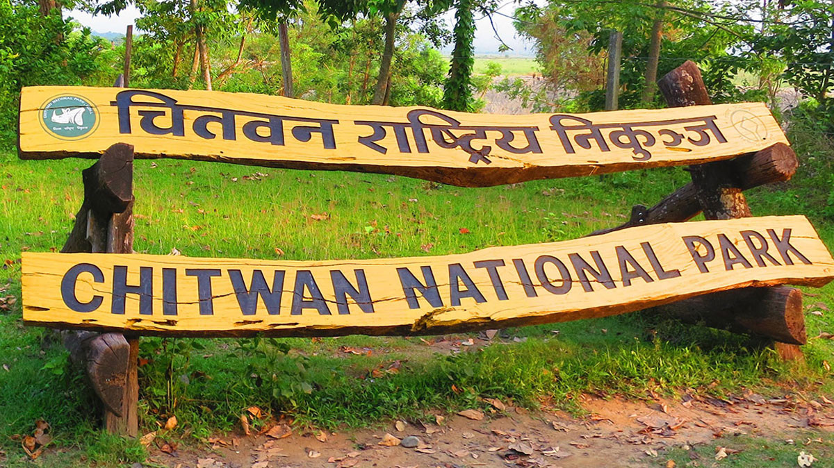 चितवनमा वन्यजन्तु चोरी शिकारी बढेपछि सेनाको गस्ती