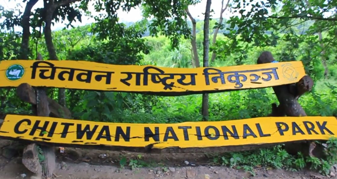 निकुञ्‍जद्वारा ८८ अजिंगरसहित १०९ वन्यजन्तुको उद्धार