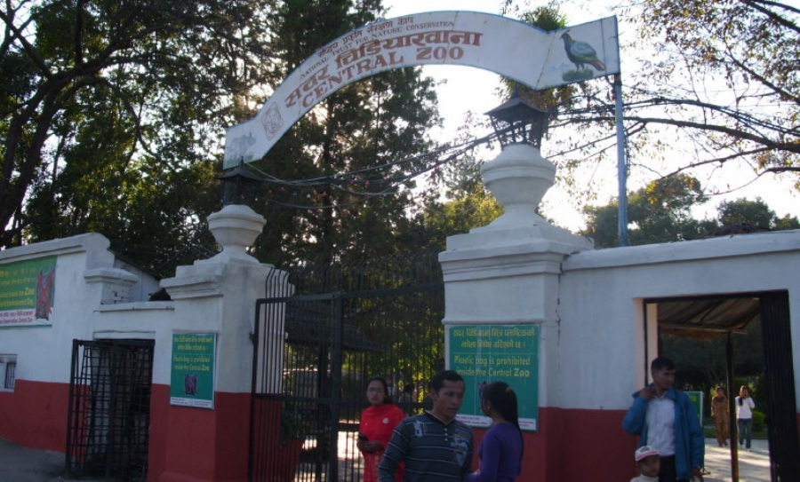 चिडियाखानाले उद्धार गर्नुपर्ने जीवजन्तुको संख्यामा कमी