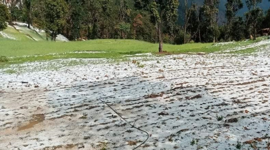 असिनापानीले डोटीमा हिउँदे बालीमा नोक्सानी