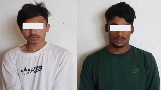 दिउँसोको समयमा चोरी गर्दै हिंड्ने दुईजना पक्राउ
