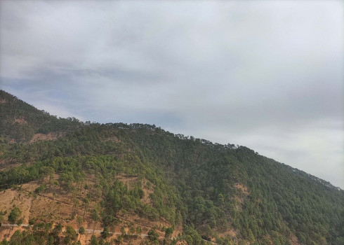 संरक्षण नहुँदा वन संकटमा