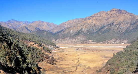 गोठाला, किसान उक्लिएपछि ढोरपाटनमा चहलपहल