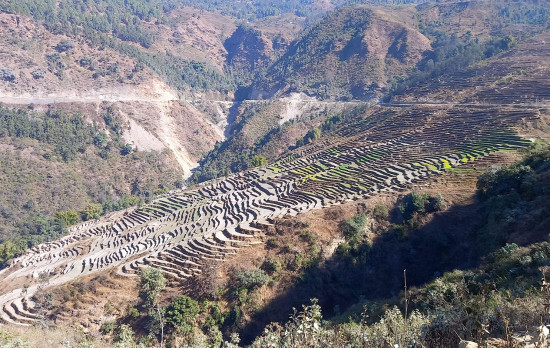 ४६ वर्षदेखि सीमा विवादित टार