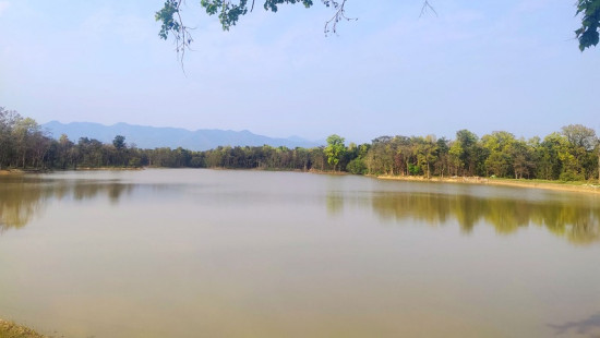 कपिलवस्तुको बुद्धभूमिमा रहेको विर्जा ताल
