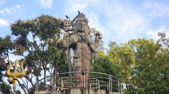 एउटै ढुंगाले बनेको अर्ध नारेश्वर