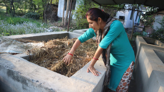 गड्यौलाको मल उत्पादनबाट मनग्य आम्दानी