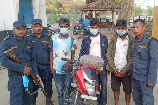 गाँजासहित पर्साबाट सात जना पक्राउ