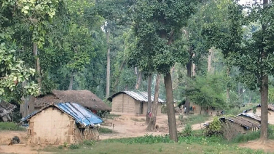 कैलालीको गोदावरी क्षेत्रमा वन अतिक्रमण बढ्यो