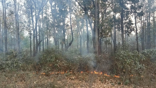 बाँकेमा डढेलो 'दस्ता' निर्माण गरिने