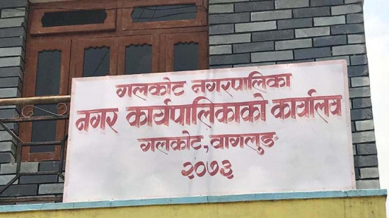 गलकोट नगरपालिकाले थाल्यो बाँझो जग्गामा ओखर खेती