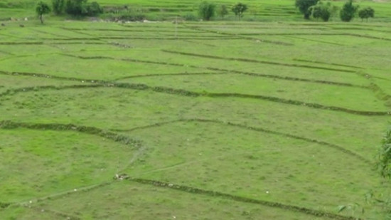 बागलुङको तमान गाउँमा खेतीयोग्य जमिन वर्गीकरण गरिंदै