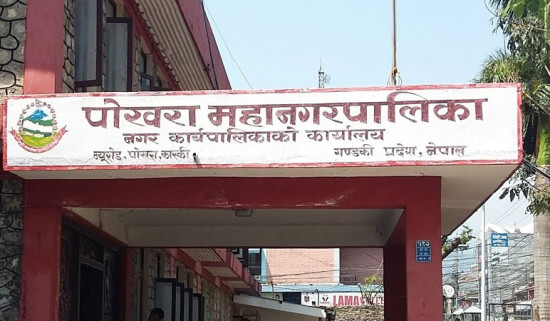 महानगरद्वारा किसानको वर्गीकरण गरी परिचयपत्र वितरण सुरु 