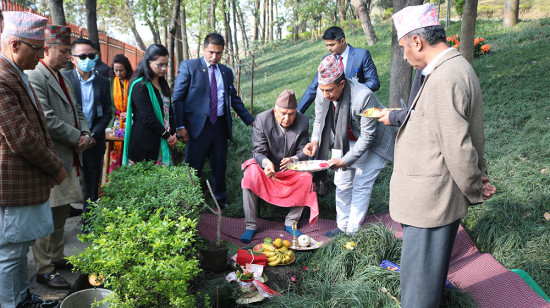 राष्ट्रपति पौडेलद्वारा वनकालीमा वृक्षरोपण