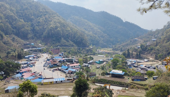 बिपी राजमार्गले फेरिएको चियाबारी