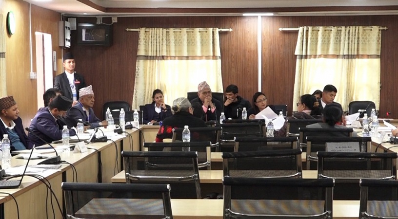 सिंहदरबारस्थित पुरानो संसद भवनलाई रेट्रोफिट गर्न संसदीय समितिको निर्देशन