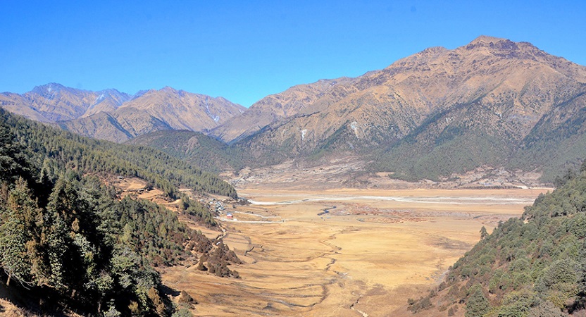 गोठाला, किसान उक्लिएपछि ढोरपाटनमा चहलपहल