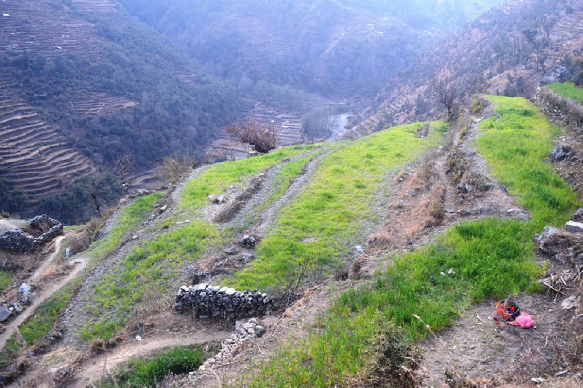 हिउँदे पानी नपर्दा किसानका खाद्यान्नबाली प्रभावित