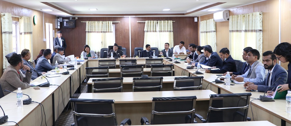 कार्यव्यवस्था परामर्श समितिमा टुंगाइयो दलीय प्रतिनिधि संख्या