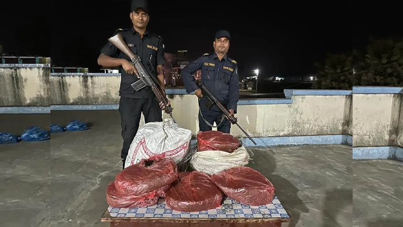 लुकाइ राखेको ६० केजी गाँजा बरामद