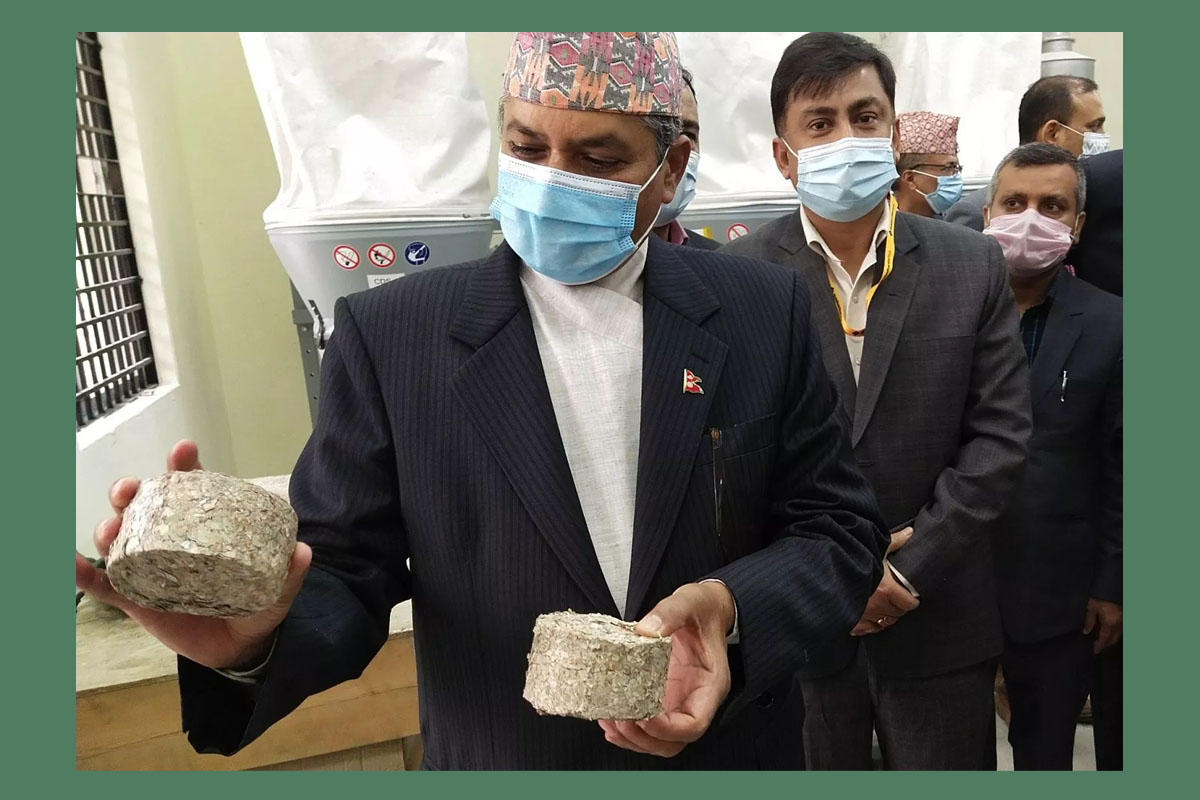 'पैसाको आगो' ताप्ने हो? राष्ट्र बैंकले बेच्दैछ ब्रिकेट