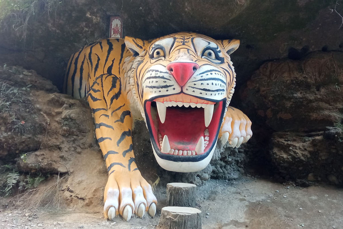 कालीगण्डकी किनारमा बाघको मूर्ति