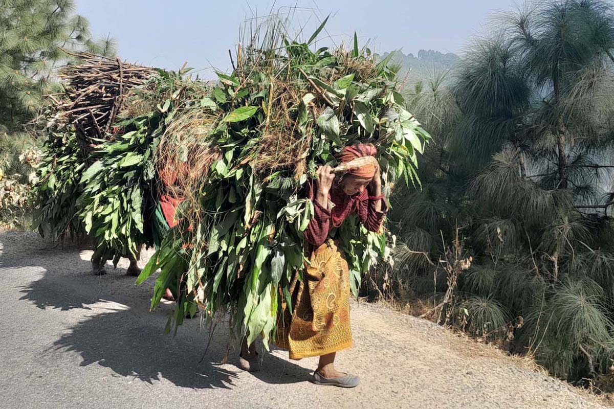 ग्रामीण जीवनशैली