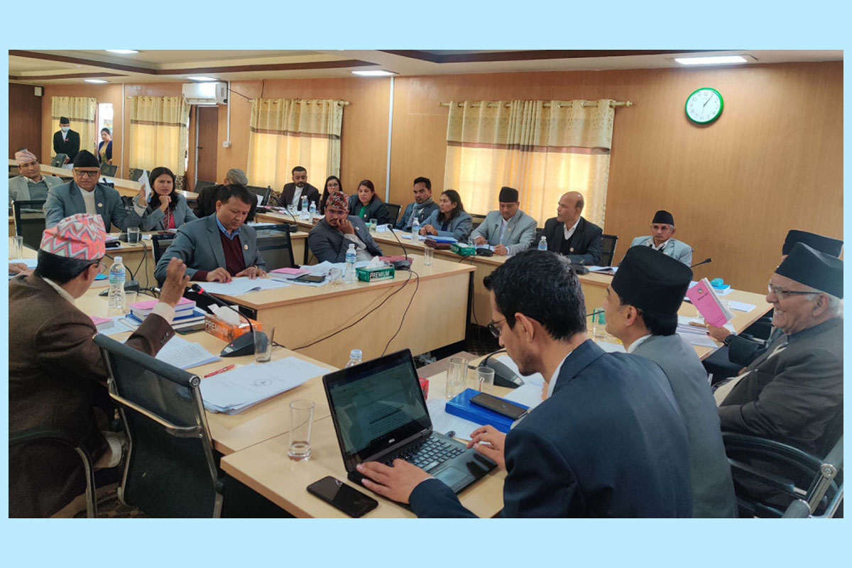 पुर्पक्षमा गएका सांसदलाई निलम्बन नगर्ने सहमति