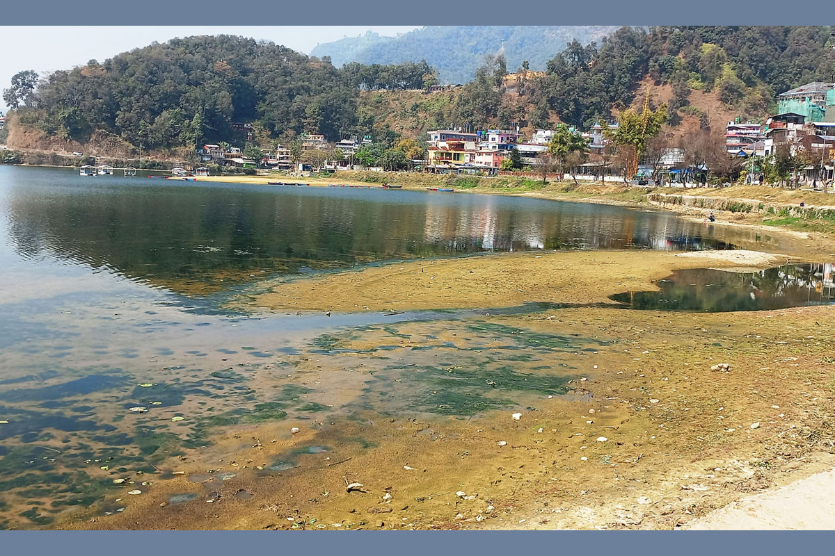 फेवातालमा घट्यो पानी