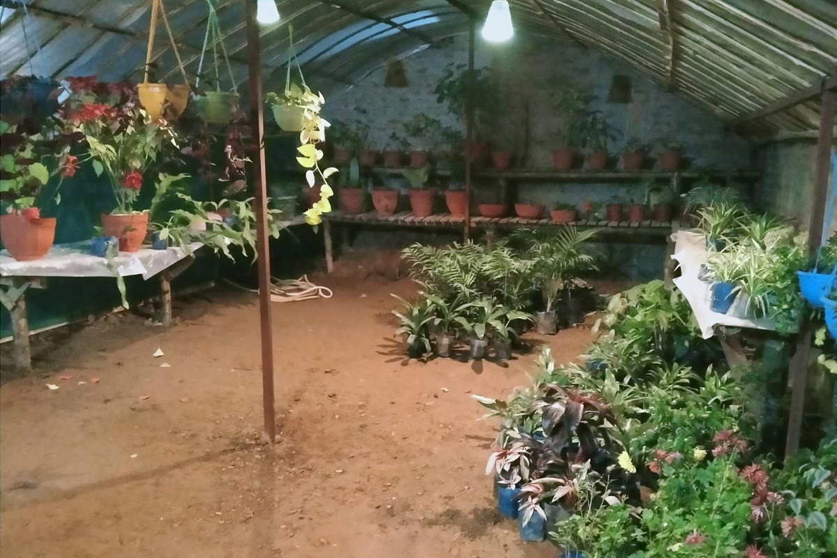 मालीबाट मालिक बनेकी सनसरी