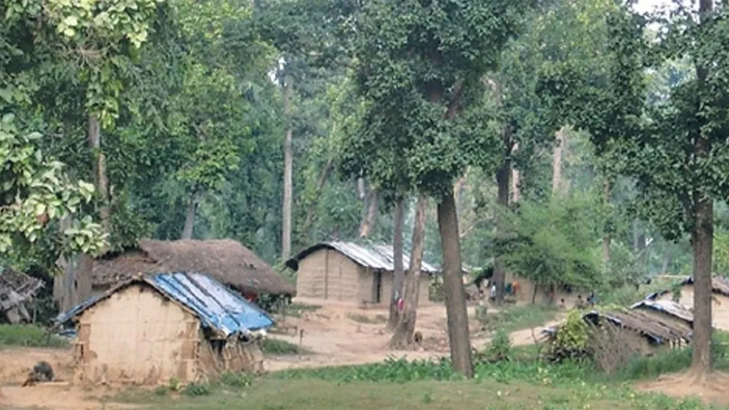 कैलालीको गोदावरी क्षेत्रमा वन अतिक्रमण बढ्यो