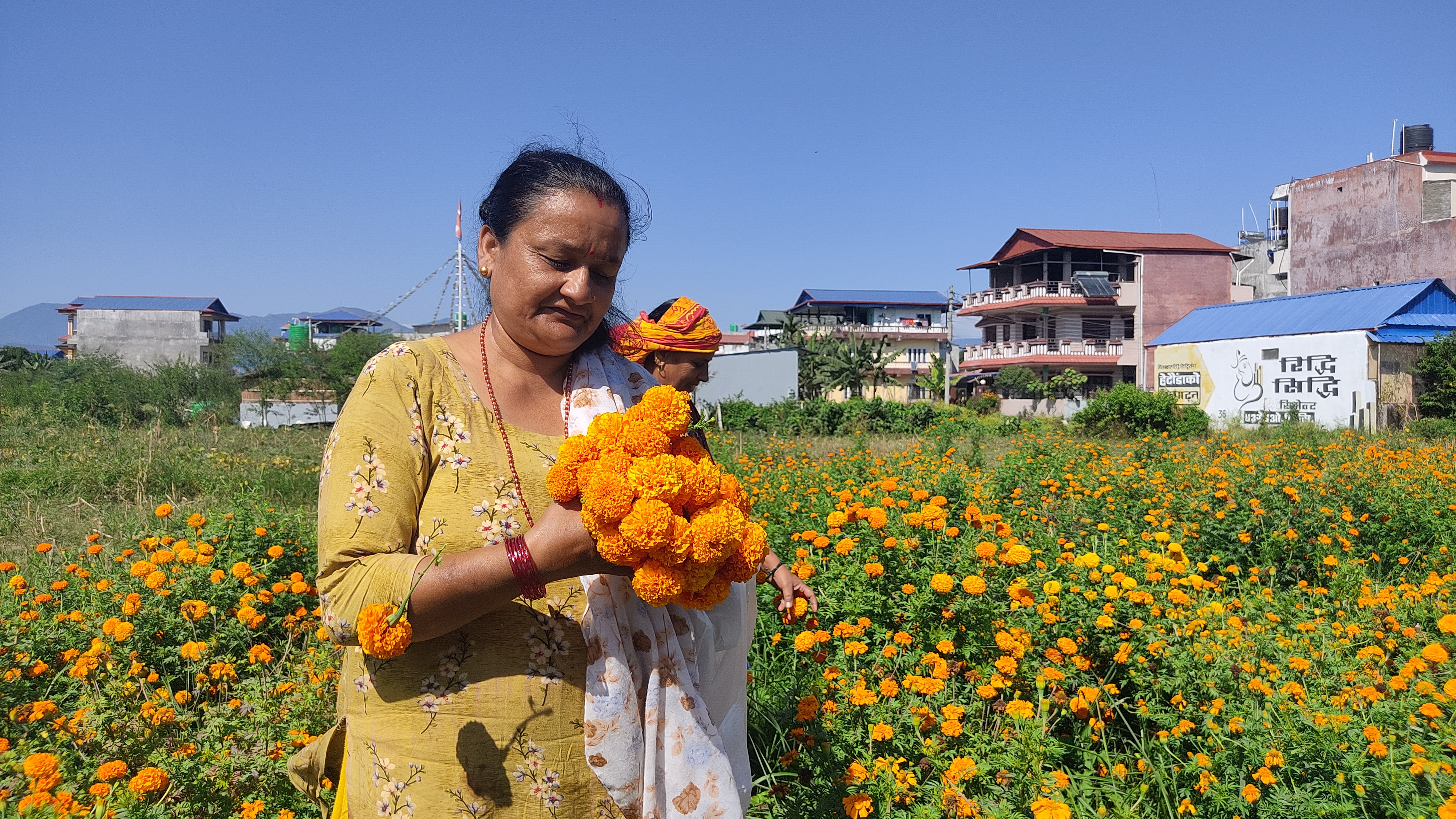तिहारमा साढे १३ करोडको फूलमाला कारोबार