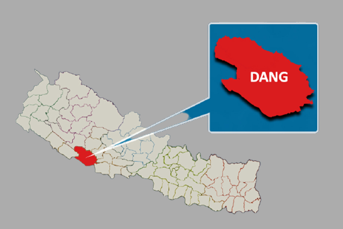 दाङमा चार महिनामा दुई सय उद्योग थपिए