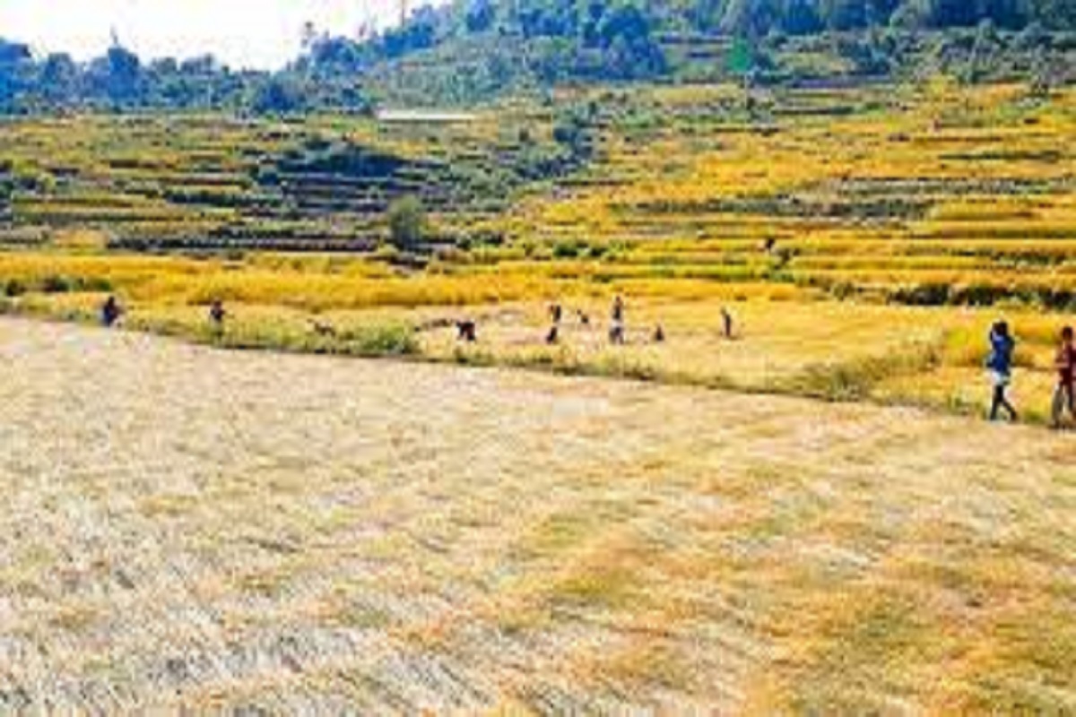 बागलुङको २० प्रतिशत खेतीयोग्य जमिनमा सिँचाइ