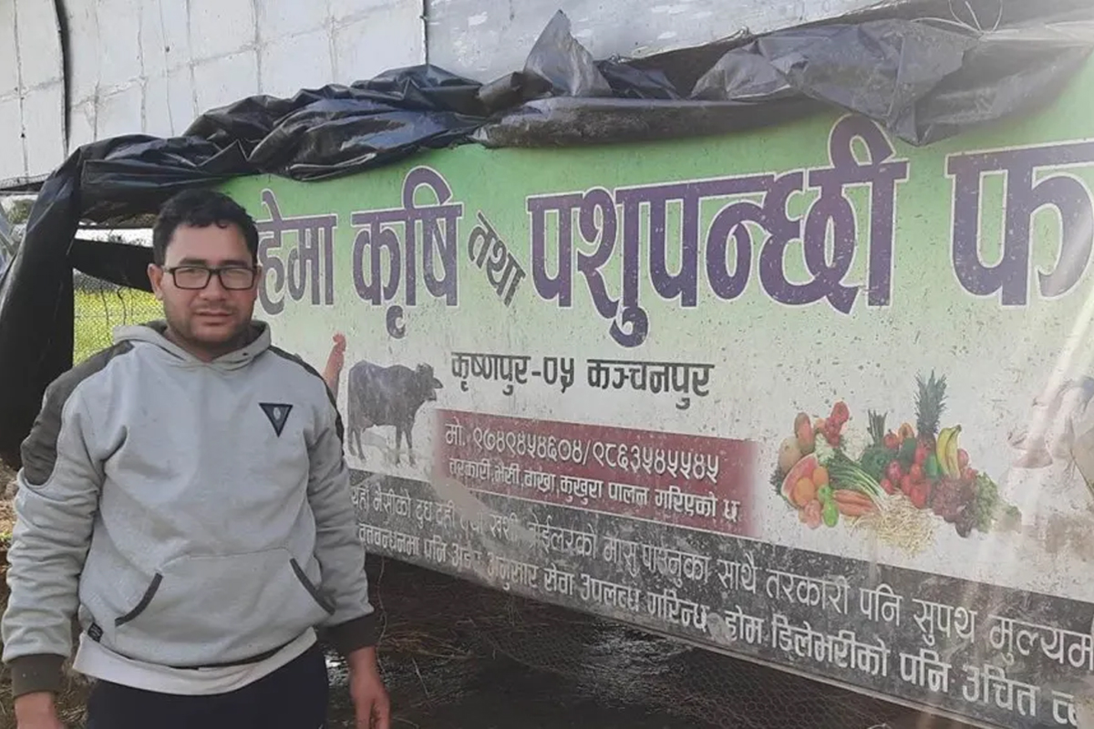 भैंसी पालनबाट मासिक ७० हजार आम्दानी