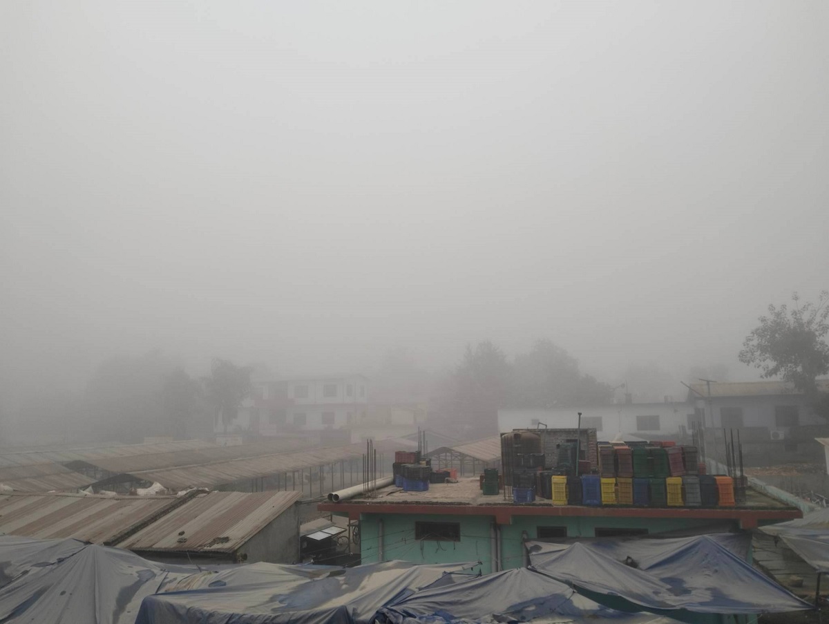 आज तराईमा मध्य दिनसम्मै हुस्सु लाग्ने
