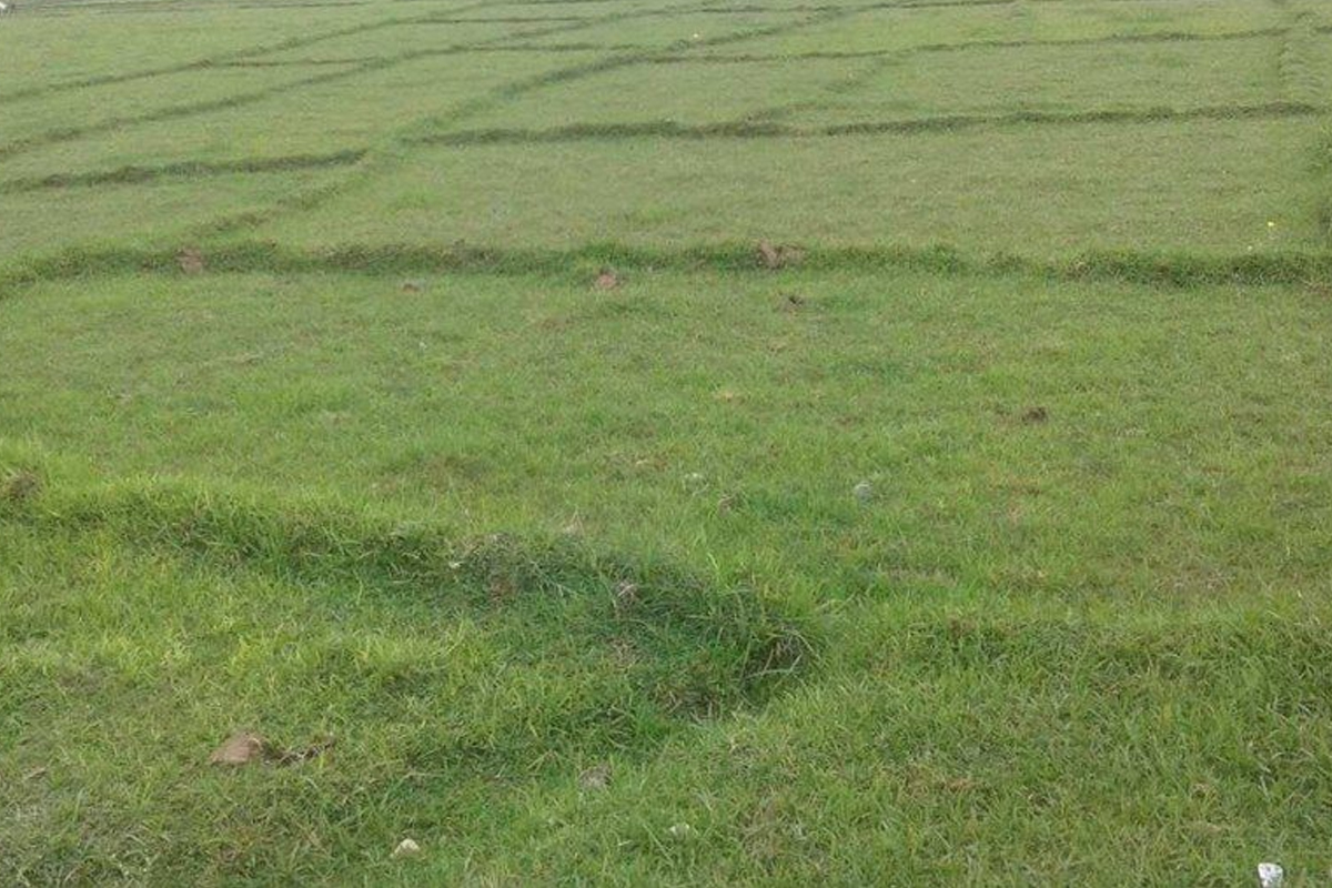 नुवाकोटमा मोही लागेको जग्गाको स्वामित्व बाँडफाँट प्रक्रिया सुरु