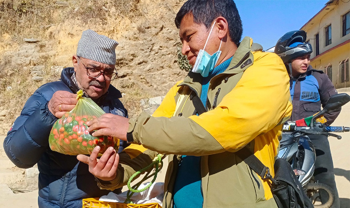 कृषि कर्मबाट वार्षिक २० लाख आम्दानी गर्दै गुरुङ दम्पती