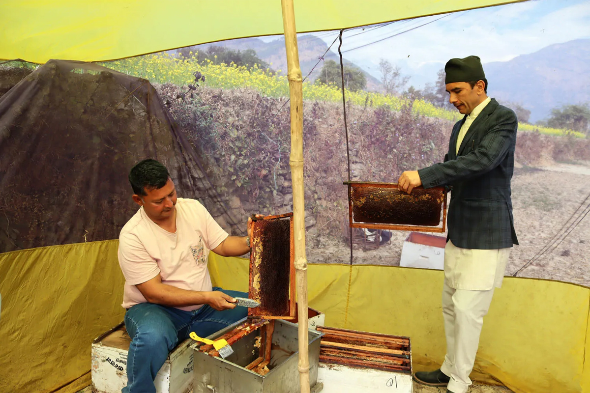 उपयुक्त चरन क्षेत्रमा मह उत्पादन दोब्बर