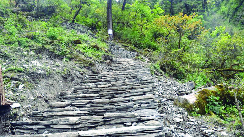 पदमार्ग बनेपछि ढोलठानको स्वरुप फेरियो