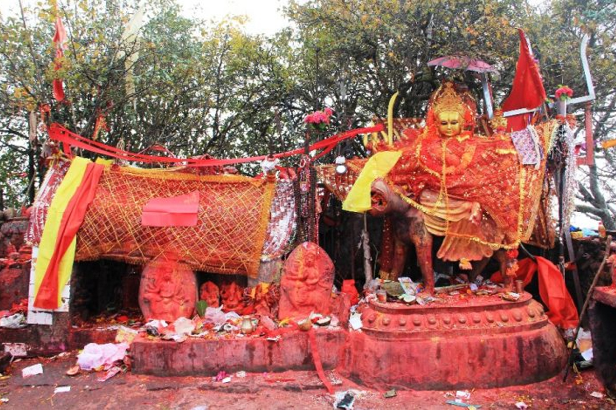 हिउँ नपर्दा पाथीभराका पर्यटन व्यवसायी चिन्तित