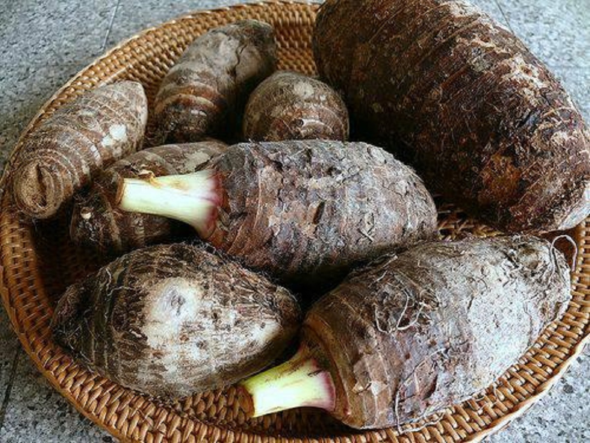 दिपायलमा अदुवाभन्दा पिँडालु महँगो