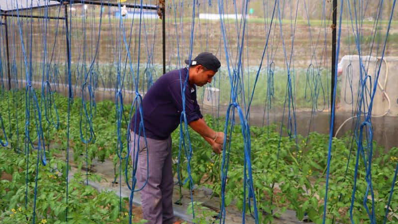 विदेशमा ६ वर्ष ठक्कर खाएपछि स्वदेशमै अवसर देखेका प्रकाश