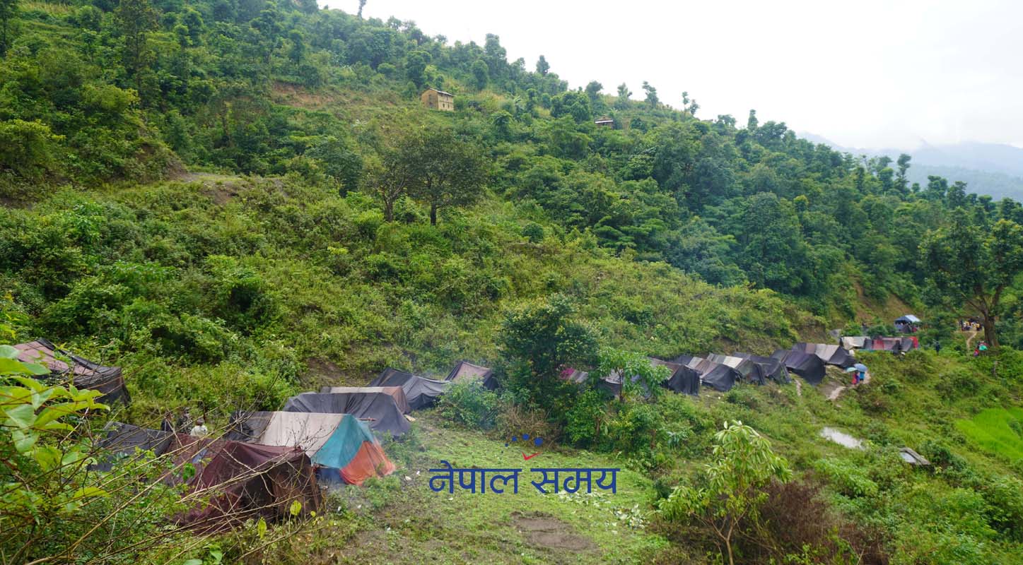 यसकारण घट्दैछ राउटेको संख्या, एक वर्षमै १५ जनाको मृत्यु