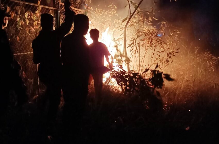 शिवपुरी सामुदायिक बनमा आगलागी