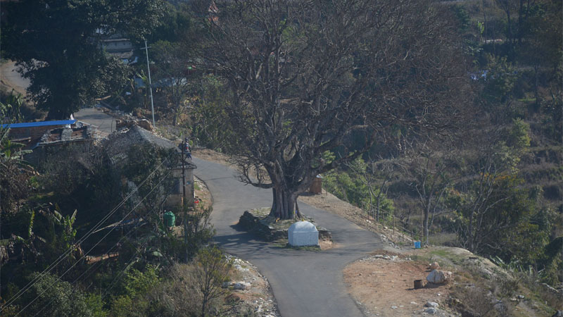 किन सुस्तायो भाइरल तनहुँसुर?
