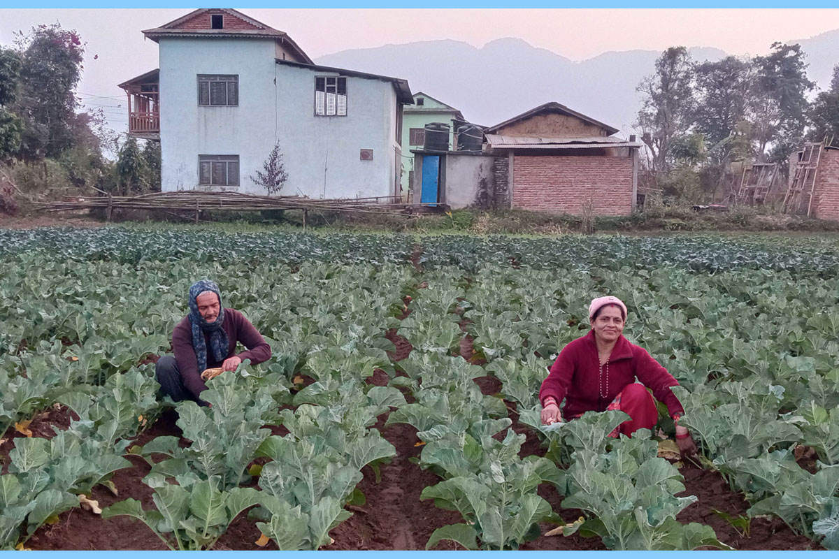 कृषिले दिएको इज्जत र आम्दानी