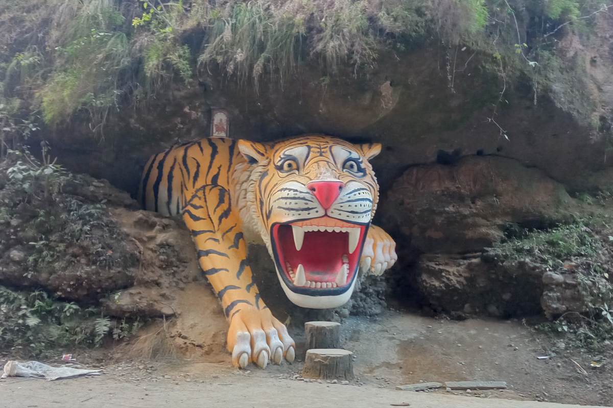 पर्यटकलाई लोभ्याउँदै बाघको मूर्ति